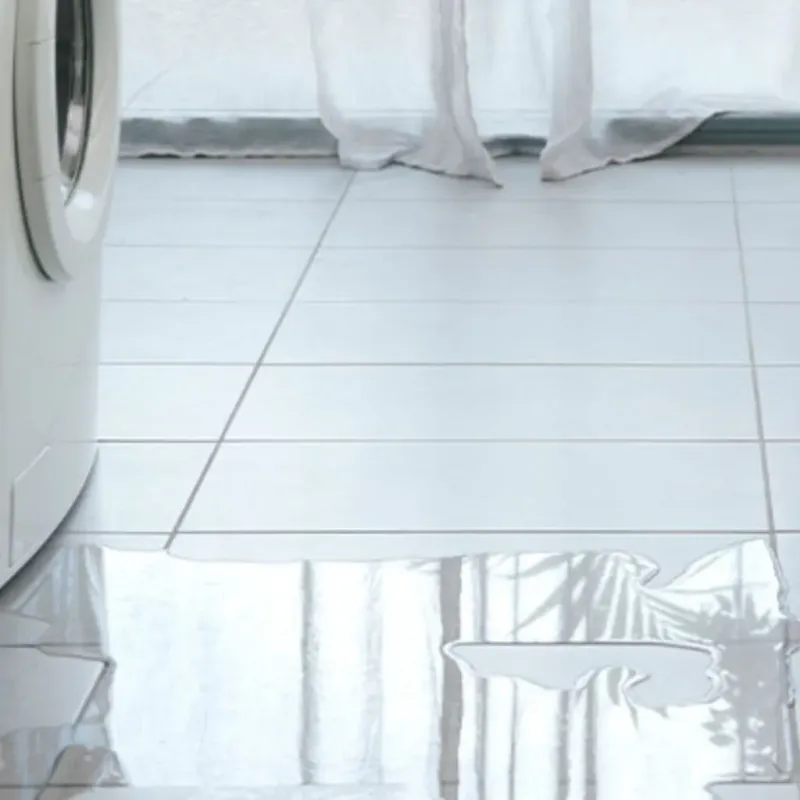 Appliance Leak Cleanup in Oceano, CA